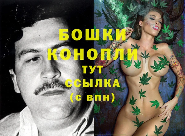 сатива Россошь