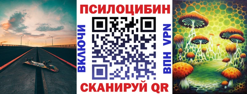 Псилоцибиновые грибы Psilocybine cubensis  Кунгур 